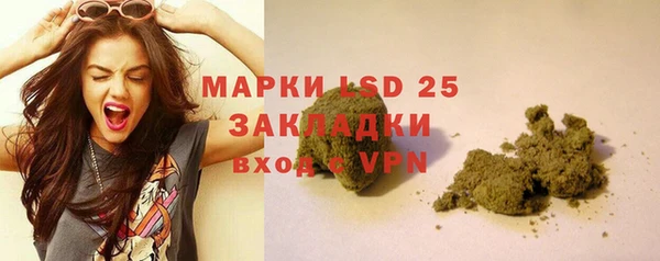 спайс Корсаков