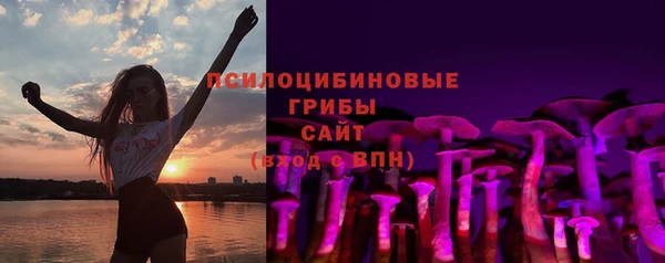 экстази Покачи