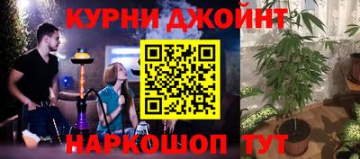 сатива Гусев