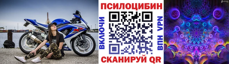 Галлюциногенные грибы GOLDEN TEACHER  Лабинск 